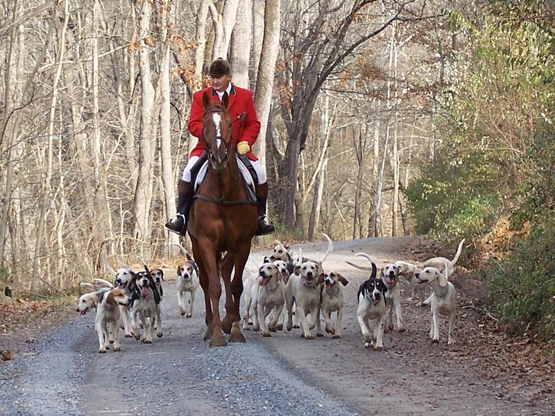 David Conner and hounds